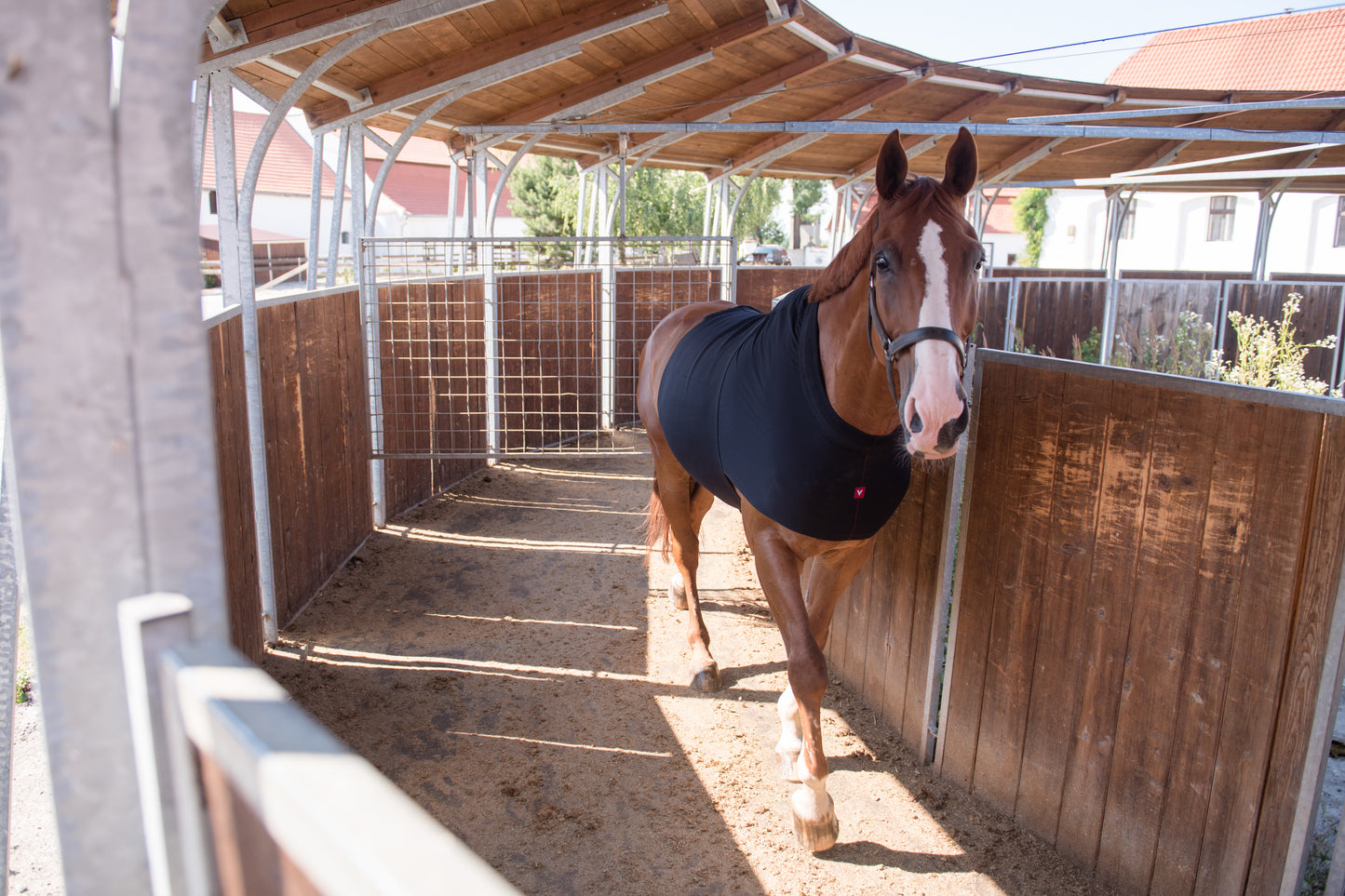 Vetoflex Recovery colic belt stable
