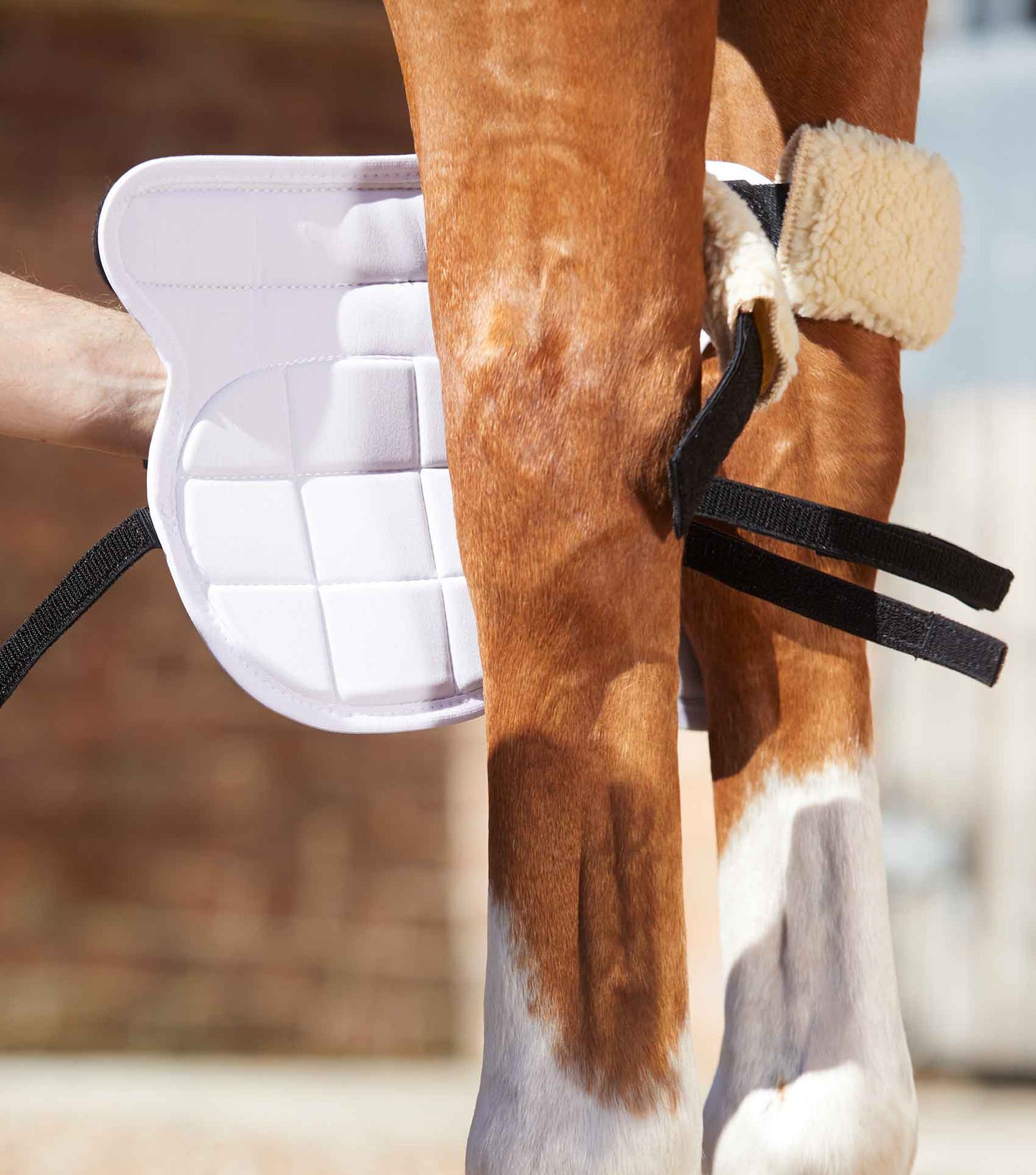 Premier Equine MAGNETIC Knee Boots
