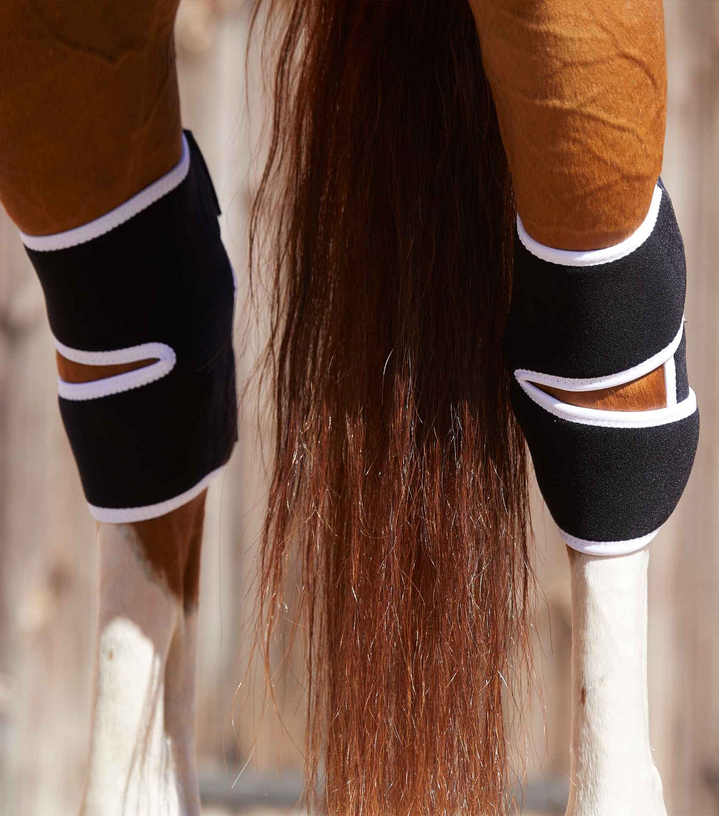 Premier Equine MAGNETIC Hock Boots