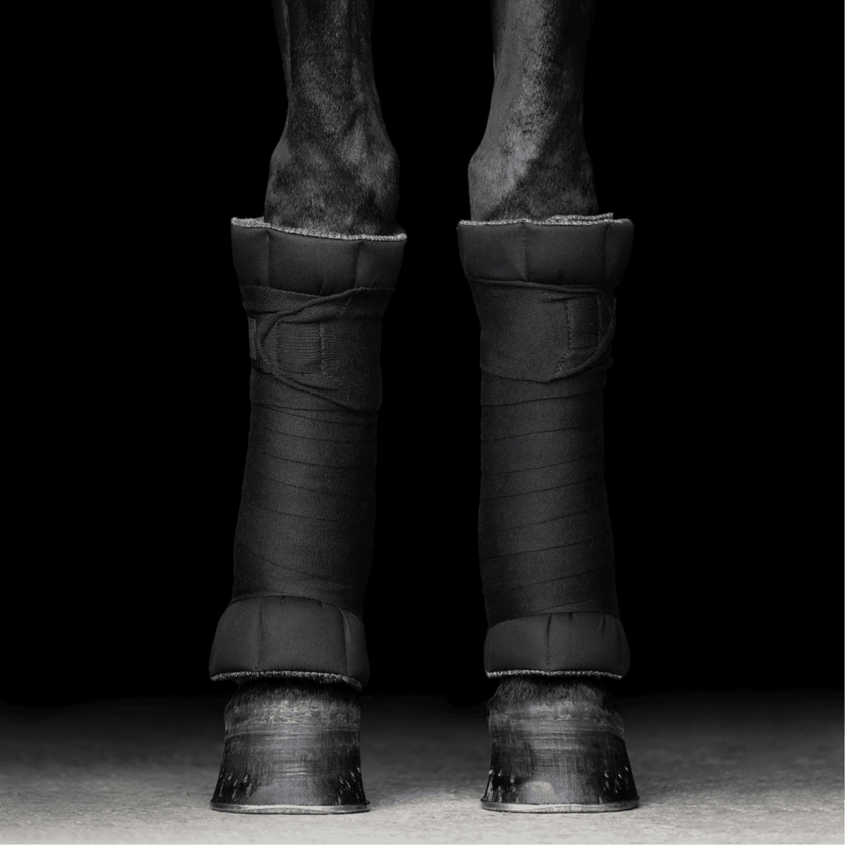 Incrediwear CIRCULATION standing wraps zwart aan bandages circulatie doorbloeding paard pony pees blessure stal benen onderlappen peesblessure ondersteuning herstellen ontsteking dierenarts afvoer afvalstoffen cellen pezen