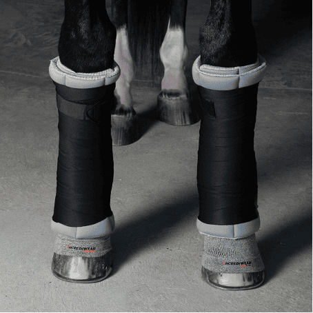 Incrediwear CIRCULATION standing wraps zwart aan bandages circulatie doorbloeding paard pony pees blessure stal benen onderlappen peesblessure ondersteuning herstellen ontsteking dierenarts afvoer afvalstoffen cellen pezen