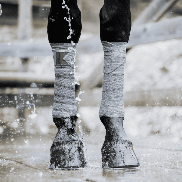 Incrediwear COOLING & CIRCULATION exercise bandages koeling hoeven benen ijs ice pack sokken paard pony pees blessure pezen dierenarts hoefbevangen ontsteking circulatie grijs knieen benen training tijdens trainen koel