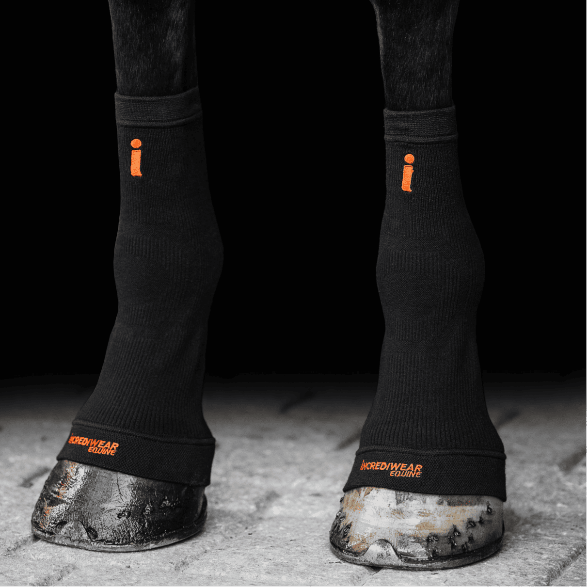 Incrediwear COOLING & CIRCULATION hoofs, hocks & legs koeling hoeven benen ijs ice pack sokken paard pony pees blessure pezen dierenarts hoefbevangen ontsteking circulatie zwart aan knieen benen grijs