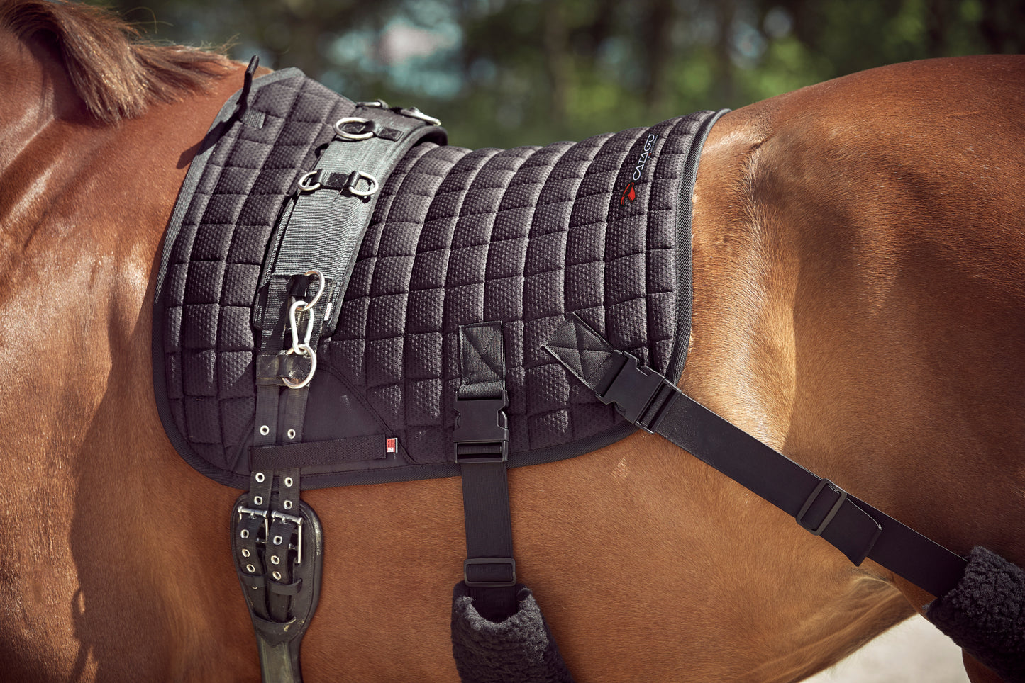 Catago FIR-Tech training saddle pad with elastic