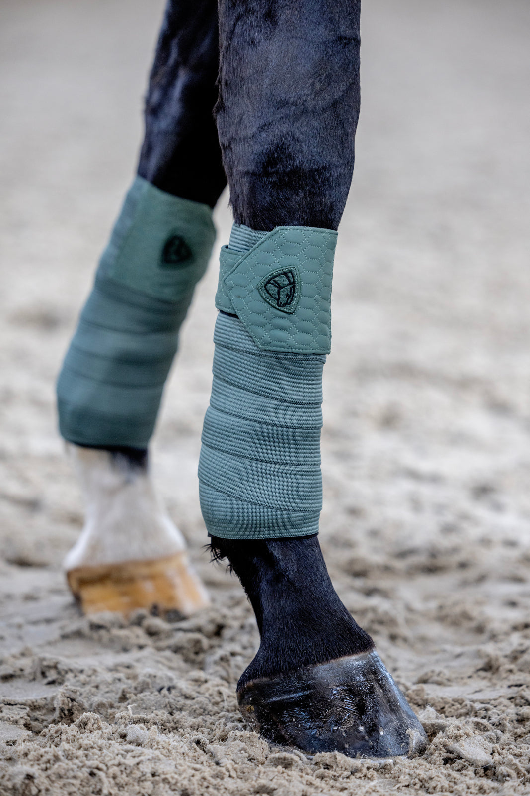 Catago FIR-Tech Grand polo bandages, 2 pcs