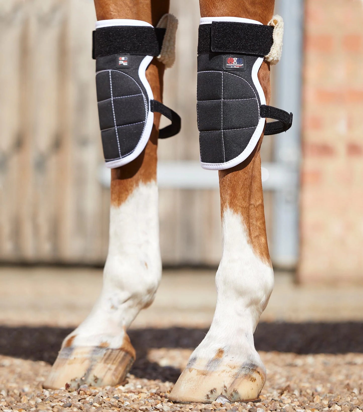 Premier Equine MAGNETIC Knee Boots