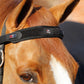 Premier Equine MAGNETIC Browband