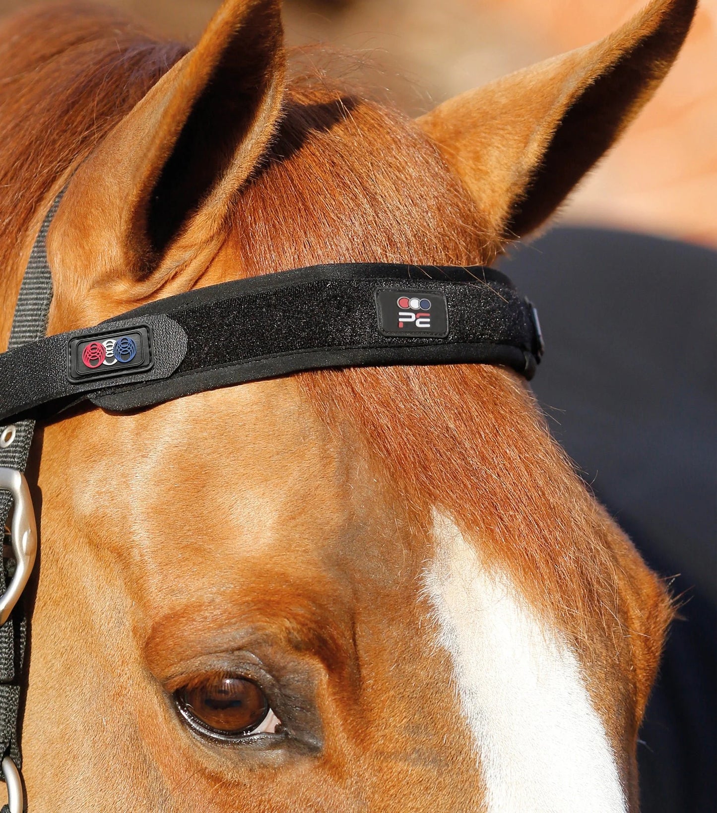 Premier Equine MAGNETIC Browband