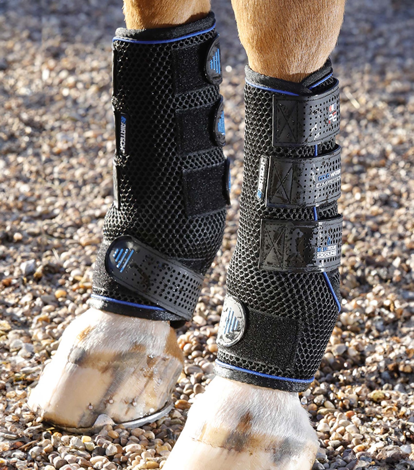 Premier Equine COOLING Water and COMPRESSION Boots