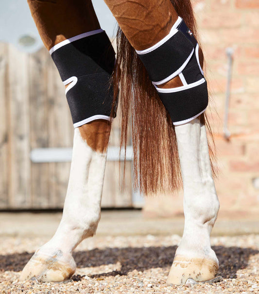 Premier Equine MAGNETIC Hock Boots