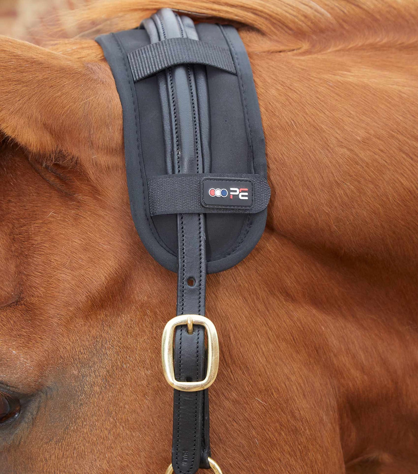 Premier Equine MAGNETIC Poll Band