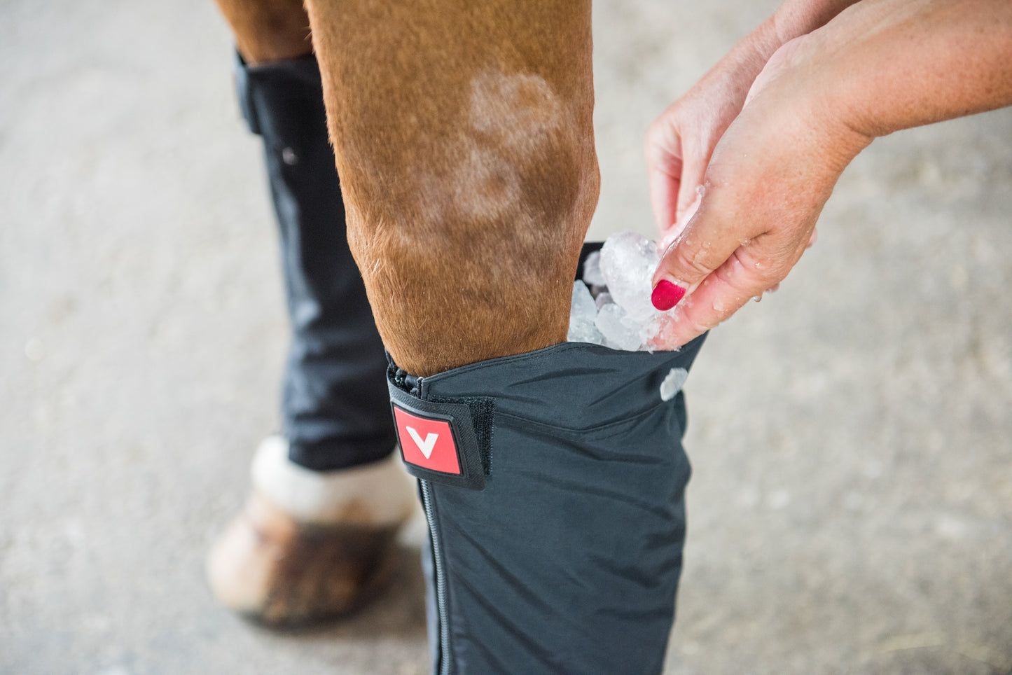 Vetoflex Bandage Classic Ice