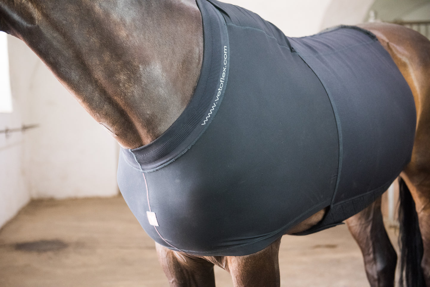 Vetoflex Recovery colic belt stable