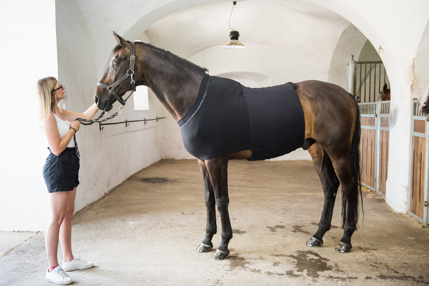 Vetoflex Recovery colic belt stable