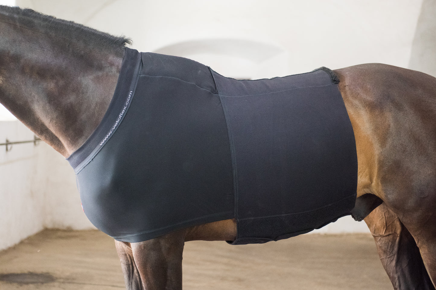 Vetoflex Recovery Herina belt Stable