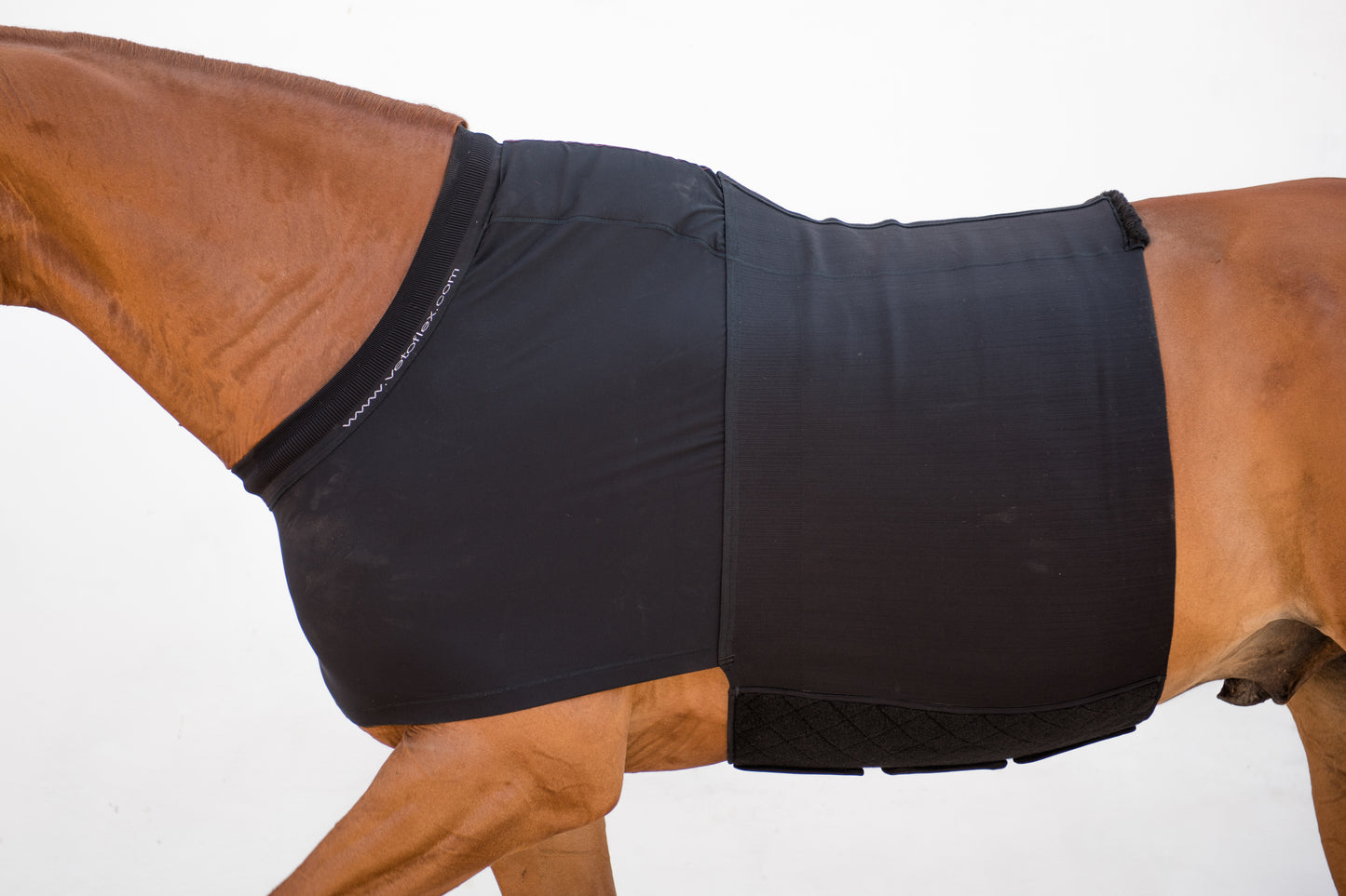 Vetoflex Recovery colic belt stable