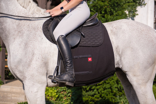 Vetoflex Recovery hernia belt Riding