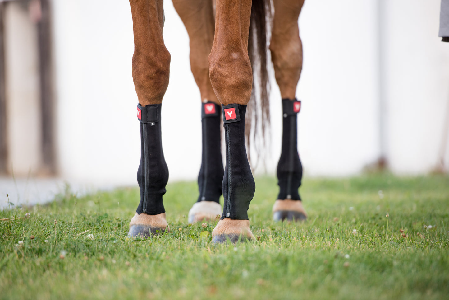 Vetoflex Bandage Classic