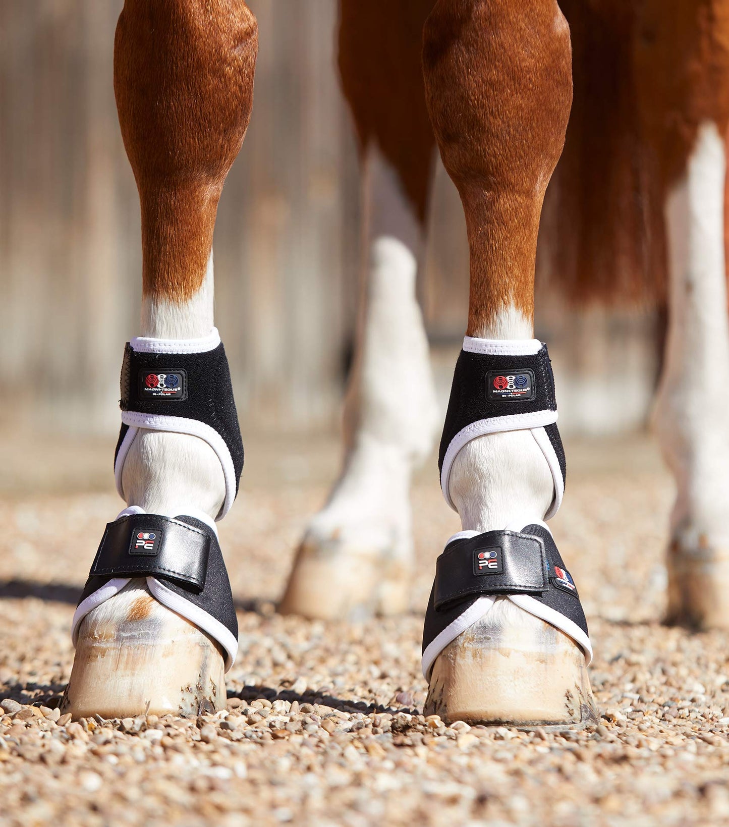 Premier Equine MAGNETIC Fetlock Boots
