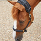 Premier Equine MAGNETIC Poll Band