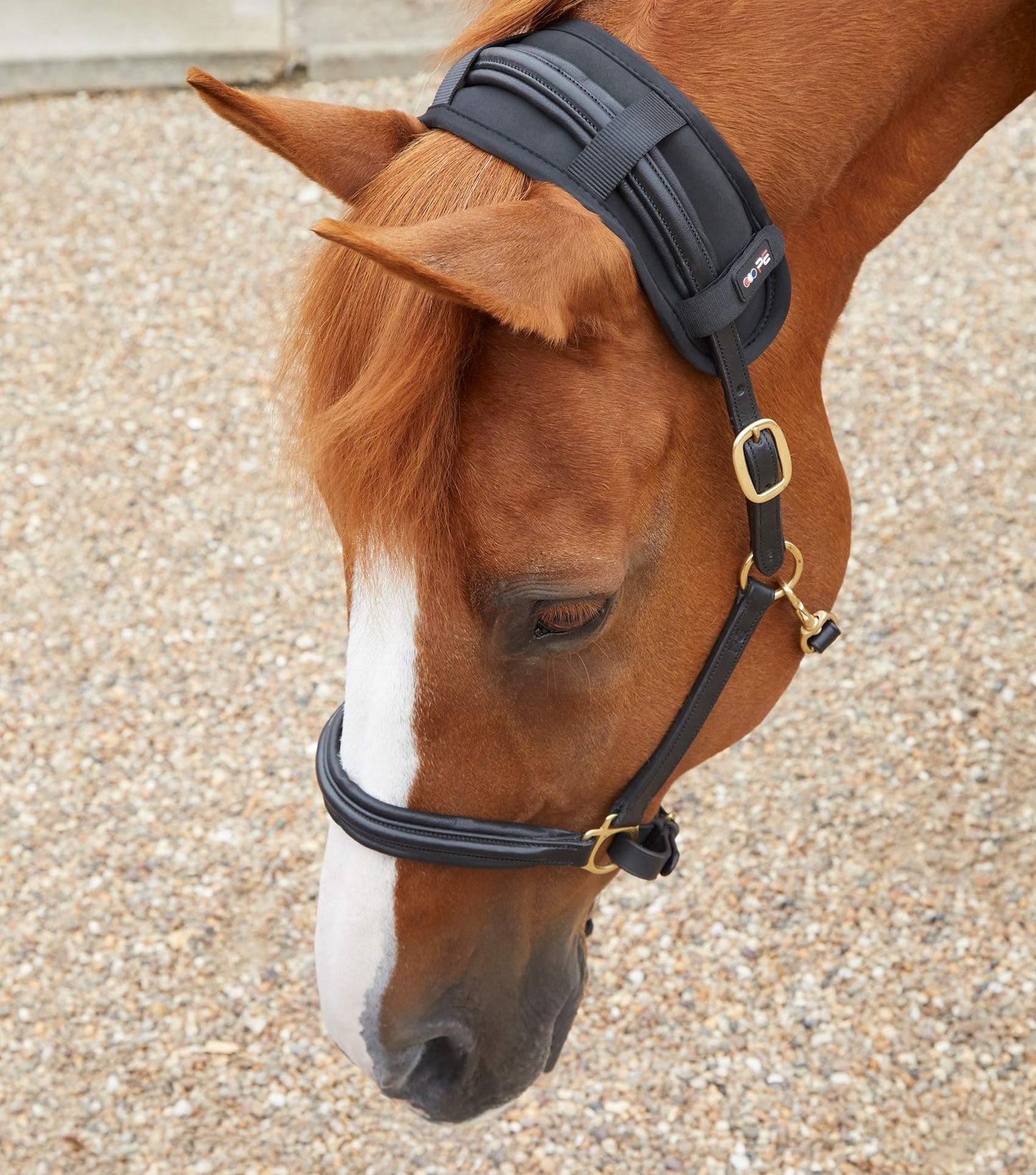Premier Equine MAGNETIC Poll Band