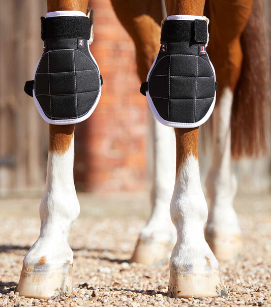 Premier Equine MAGNETIC Knee Boots