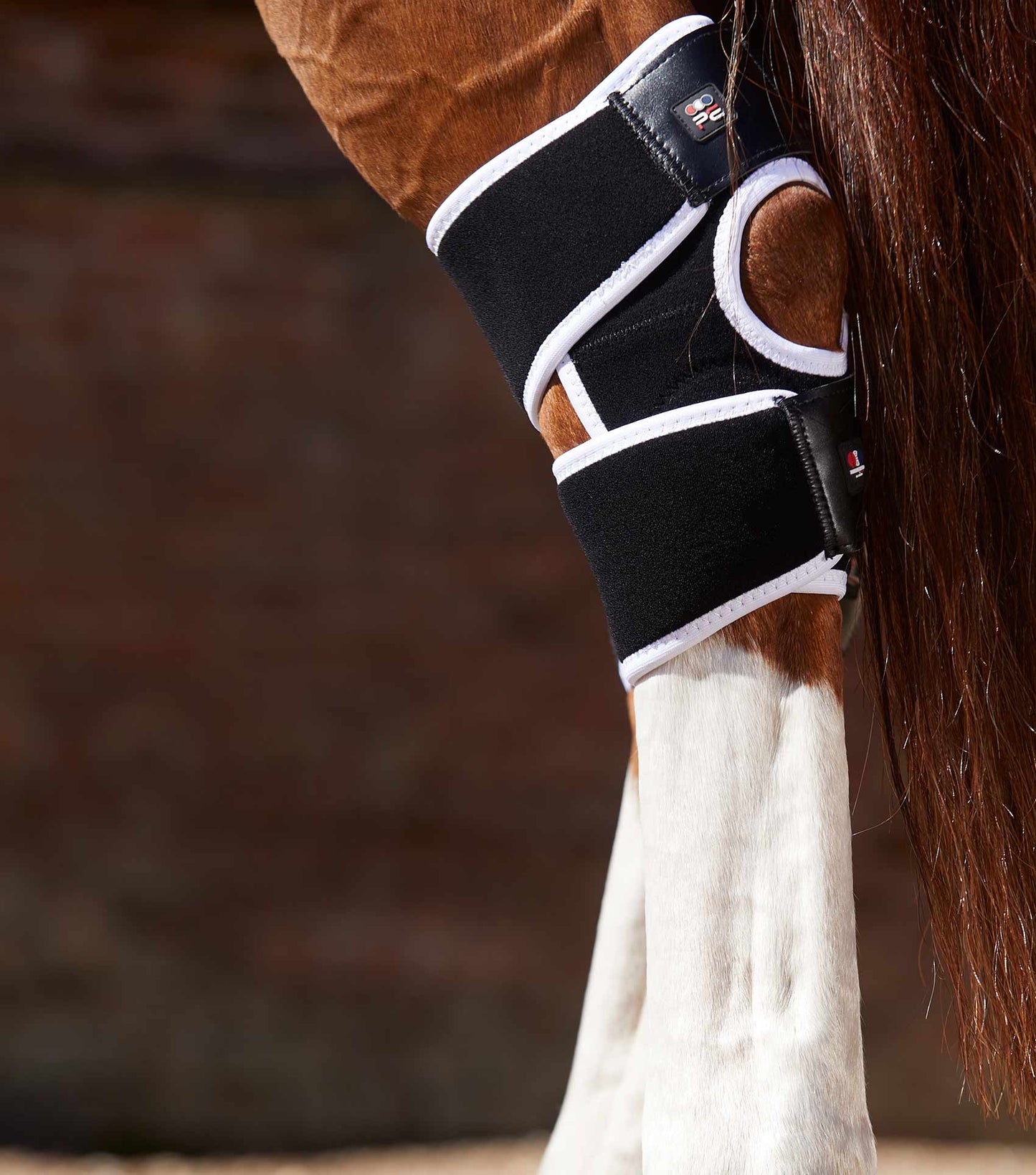 Premier Equine MAGNETIC Hock Boots