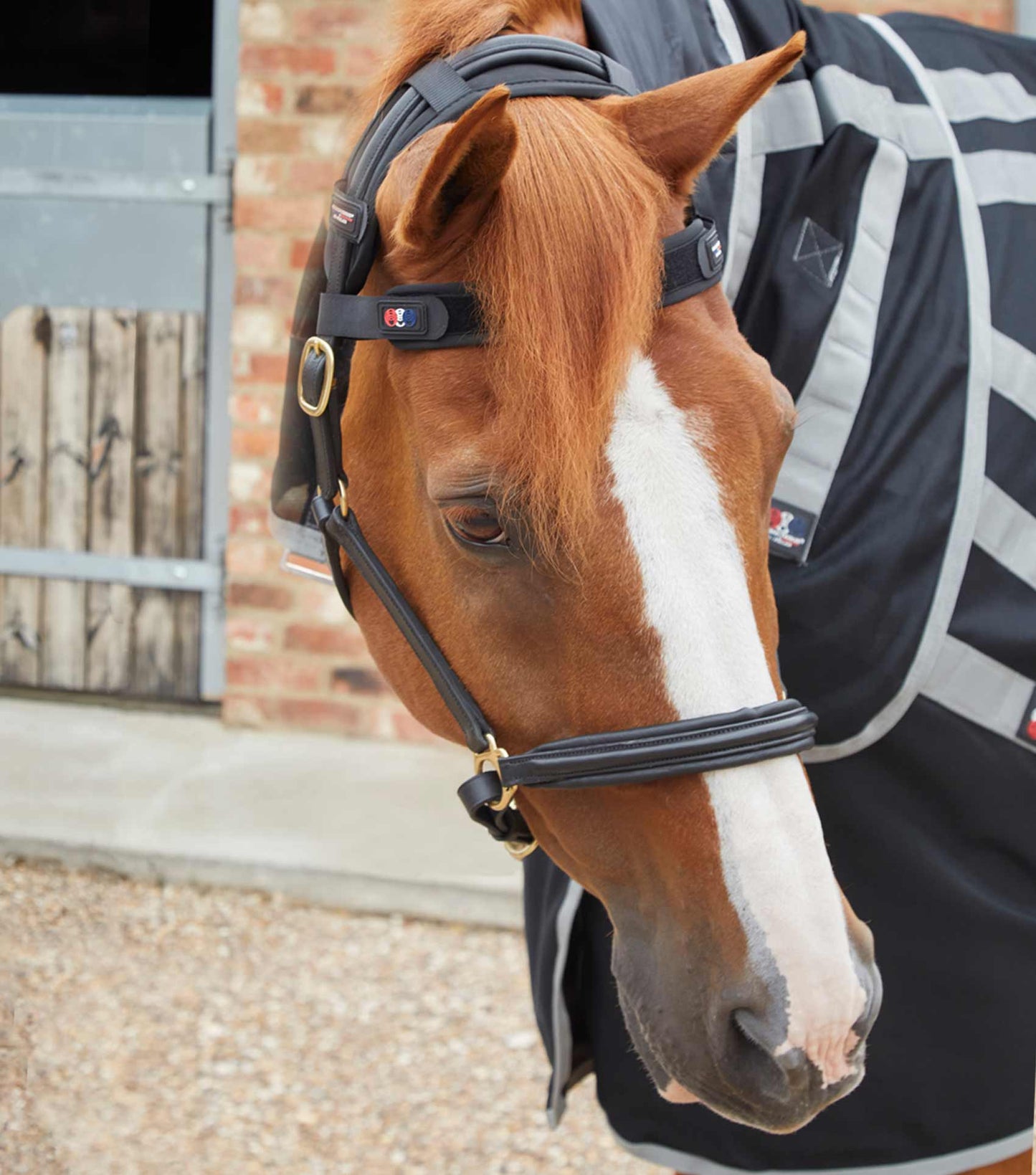 Premier Equine MAGNETIC Browband