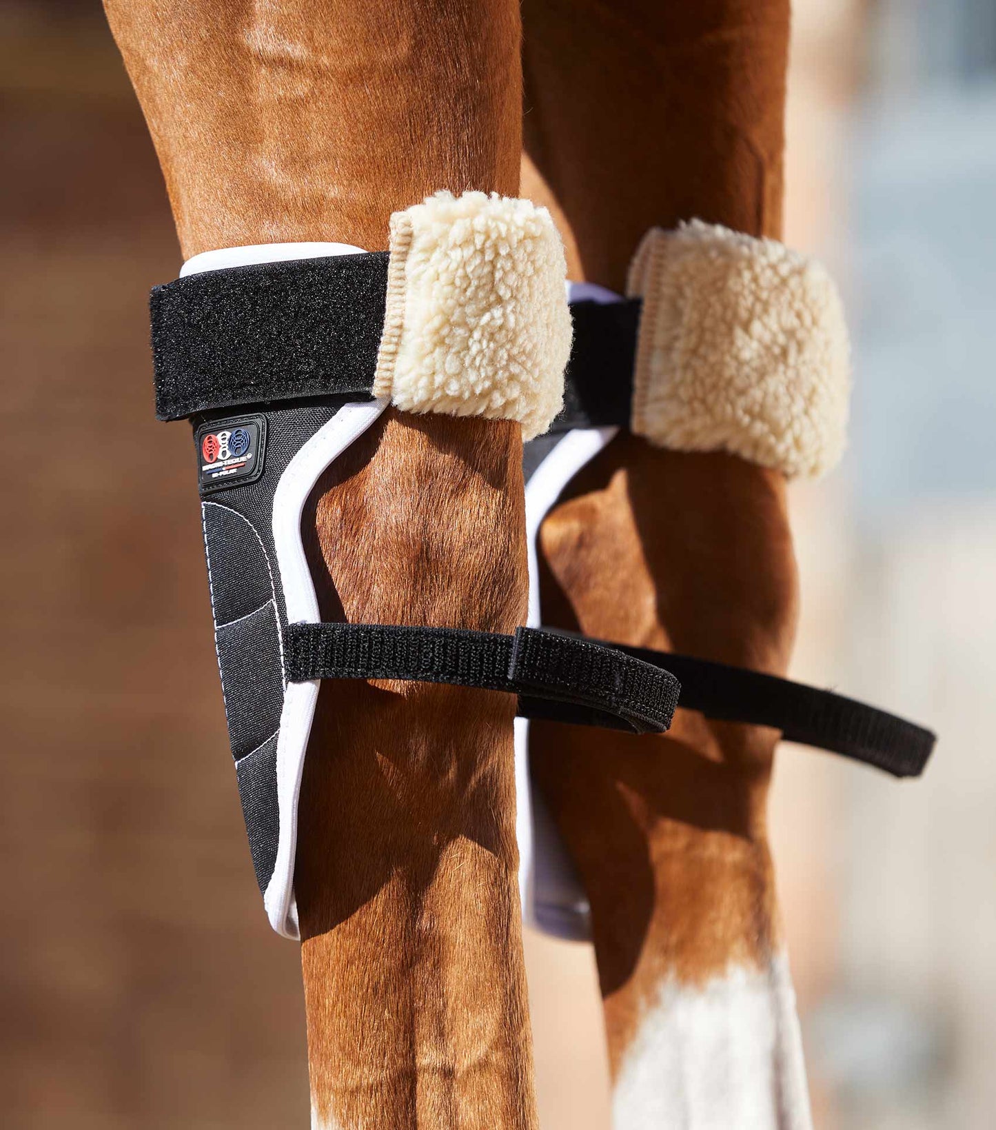 Premier Equine MAGNETIC Knee Boots