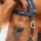 Premier Equine MAGNETIC Browband