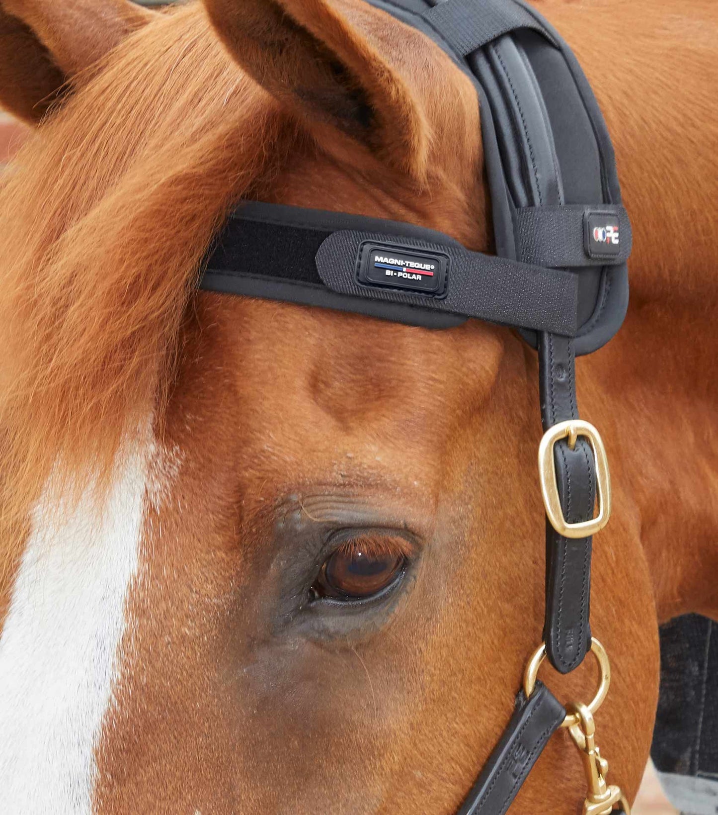 Premier Equine MAGNETIC Browband