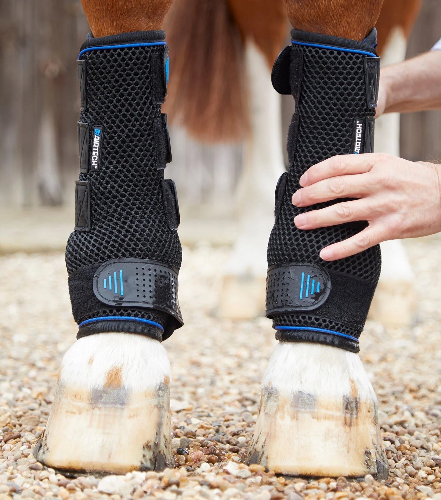 Premier Equine COOLING Water and COMPRESSION Boots