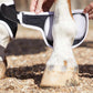 Premier Equine MAGNETIC Fetlock Boots