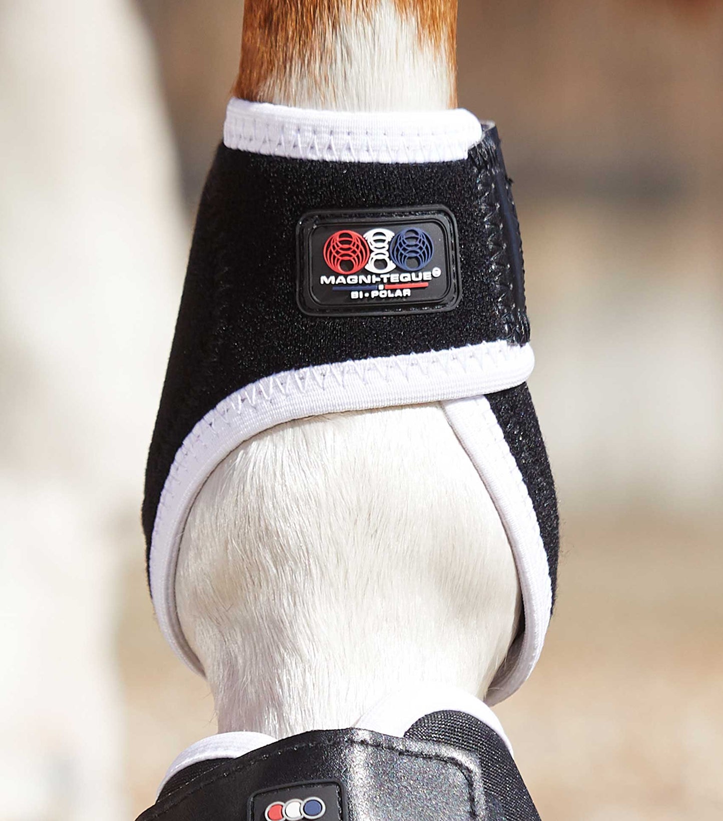 Premier Equine MAGNETIC Fetlock Boots