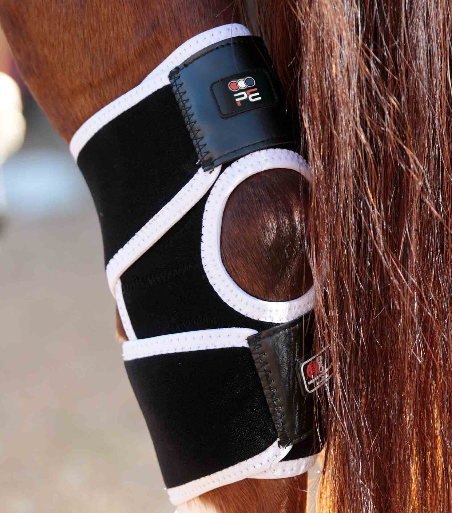 Premier Equine MAGNETIC Hock Boots