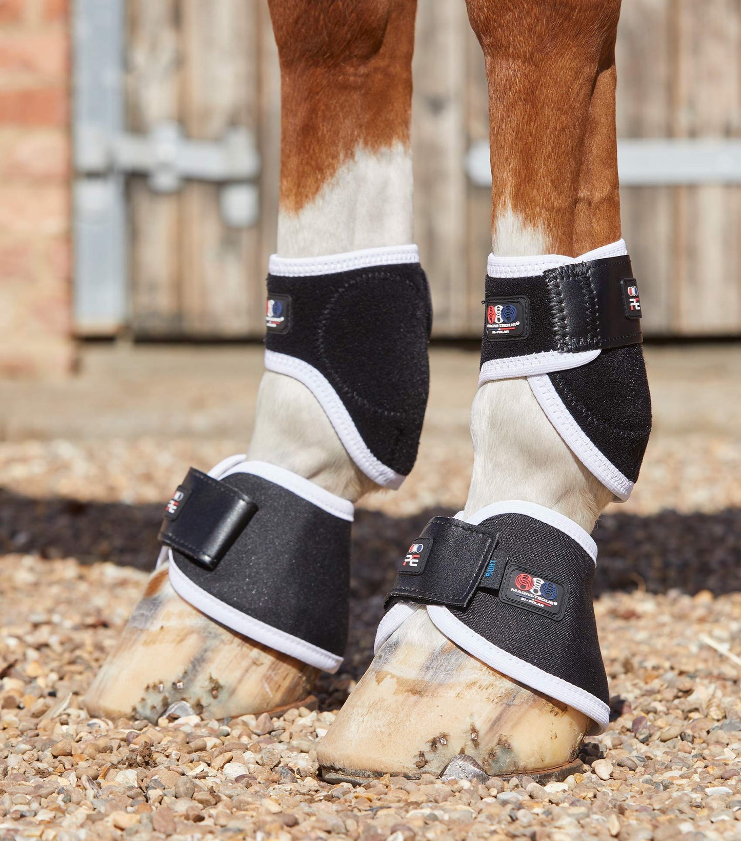 Premier Equine MAGNETIC Hoof Boots