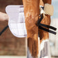 Premier Equine MAGNETIC Knee Boots
