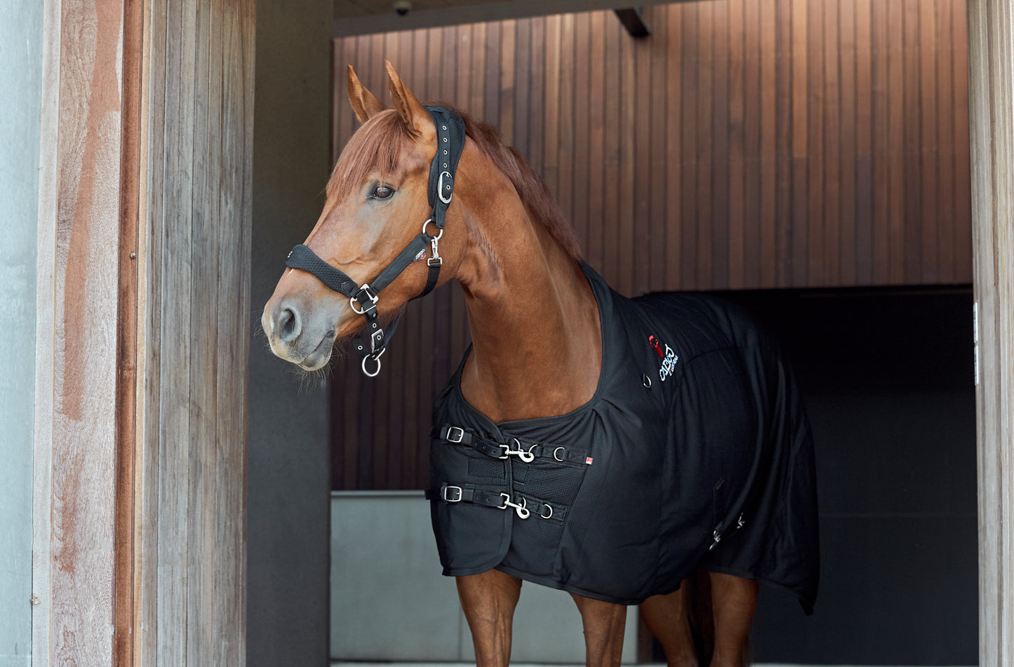 Catago FIR-Tech Mash halter