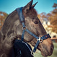 Catago FIR-Tech Mash halter