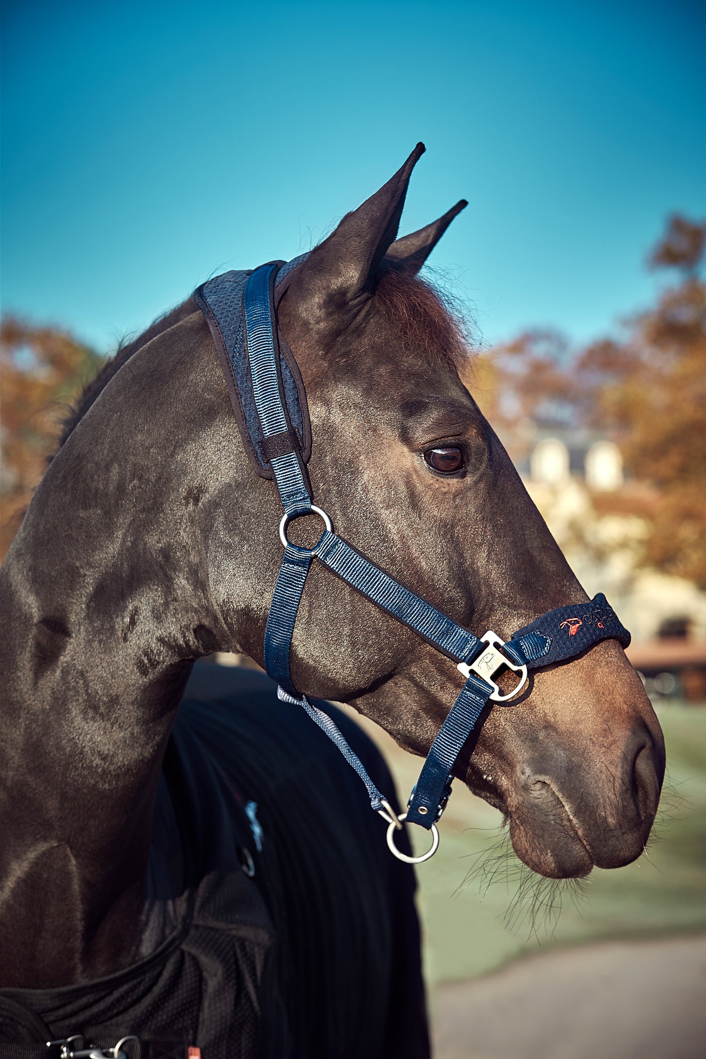 Catago FIR-Tech Mash halter