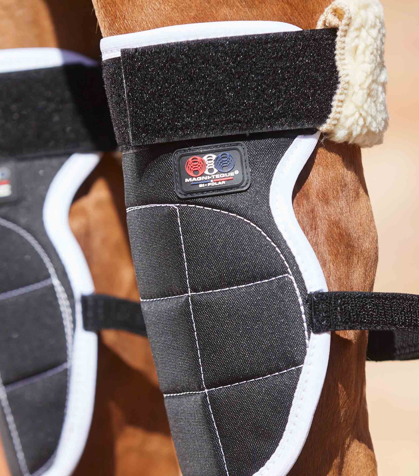 Premier Equine MAGNETIC Knee Boots