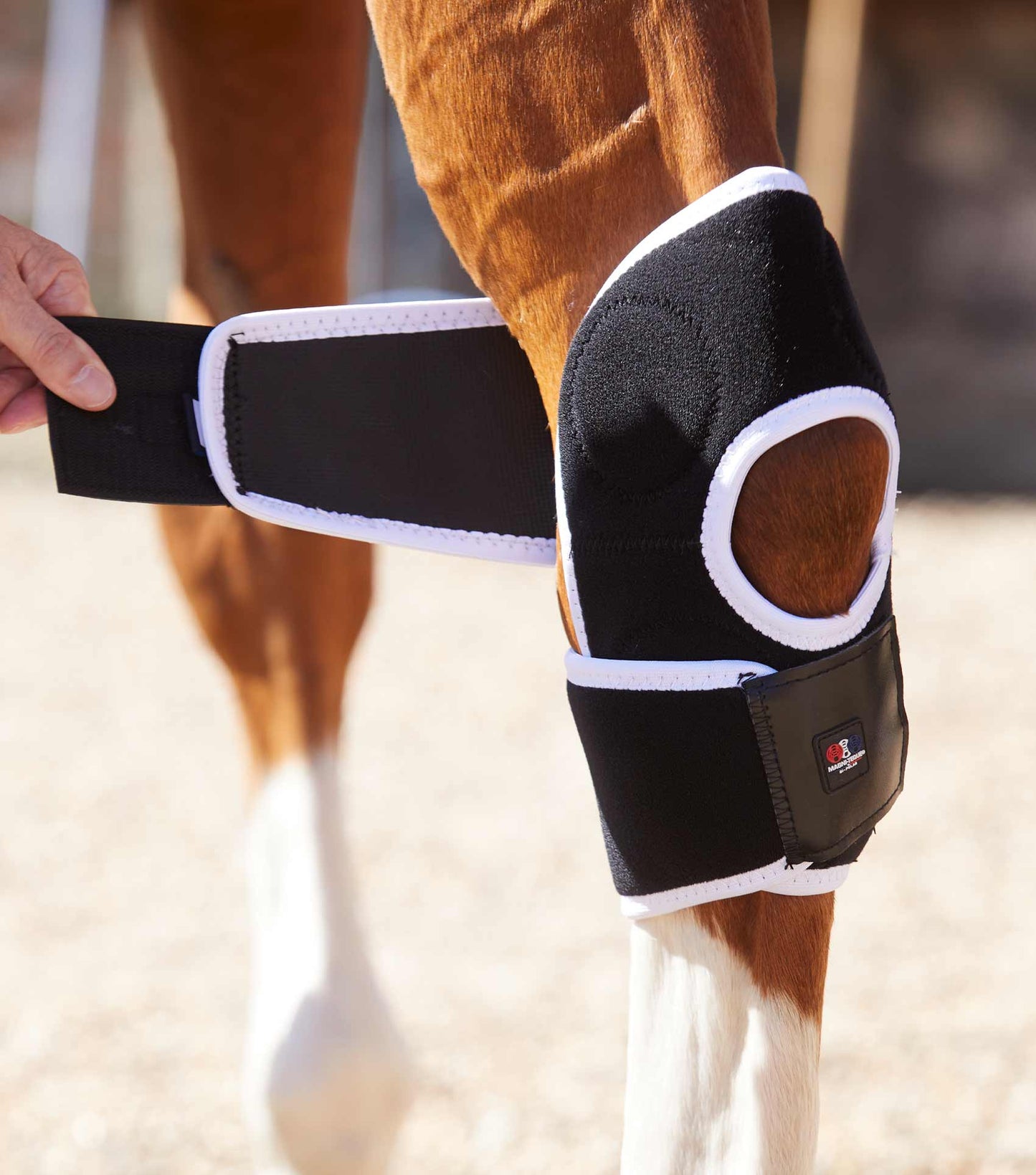 Premier Equine MAGNETIC Hock Boots