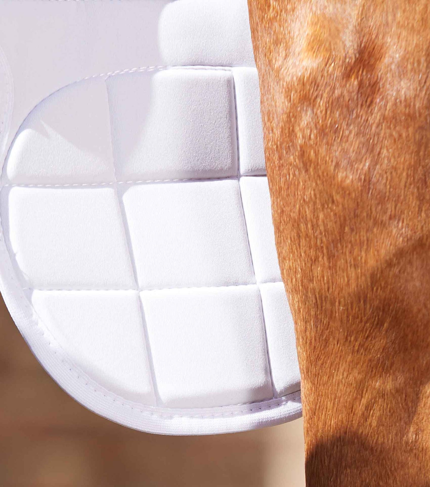 Premier Equine MAGNETIC Knee Boots