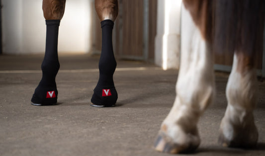 Vetoflex Sleeves Classic