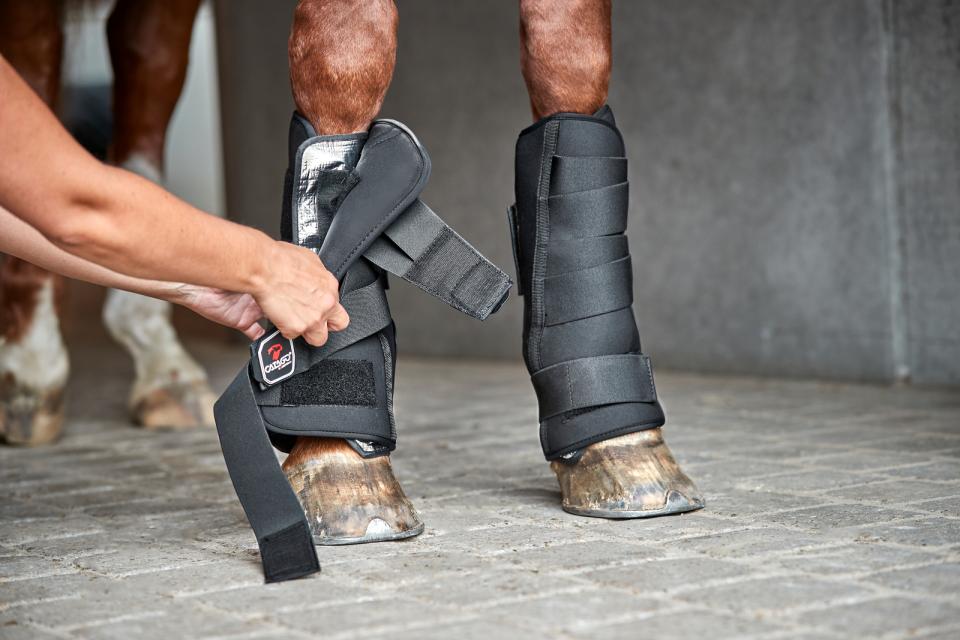 Catago COOLIG leg inlages klittenband ijs cool pack paard pony pees blessure dierenarts herstellen help ice stal beschermers goedkoop tas meenemen vriezer lang circulatie ontsteking doorbloeding cellen vernieuwen weefsel pezen gat