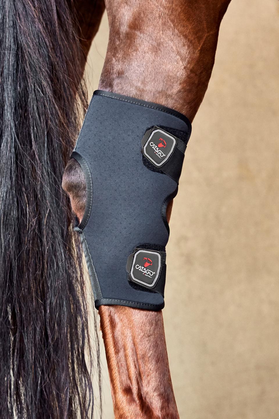 Catago FIR-TECH Hock knie paard pony circulatie rugblessure paard pony magnetisch blessure doorbloeding artrose rust training relaxe ontspannen massage 