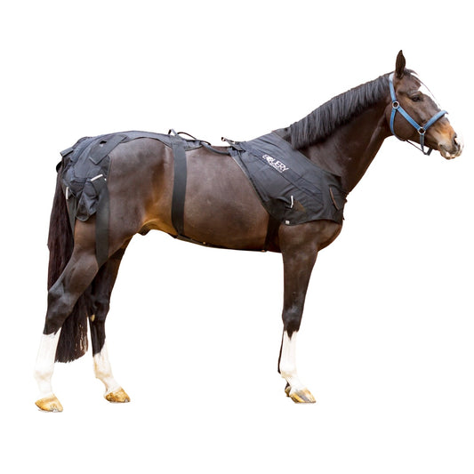 Equery NMES blanket Includes Free Introductory Appointment spieropbouw paard pony pees blessure deken toestel stroomschokjes herstel spieren dierenars doorbloeding warming up cooling down trainen gespierd 