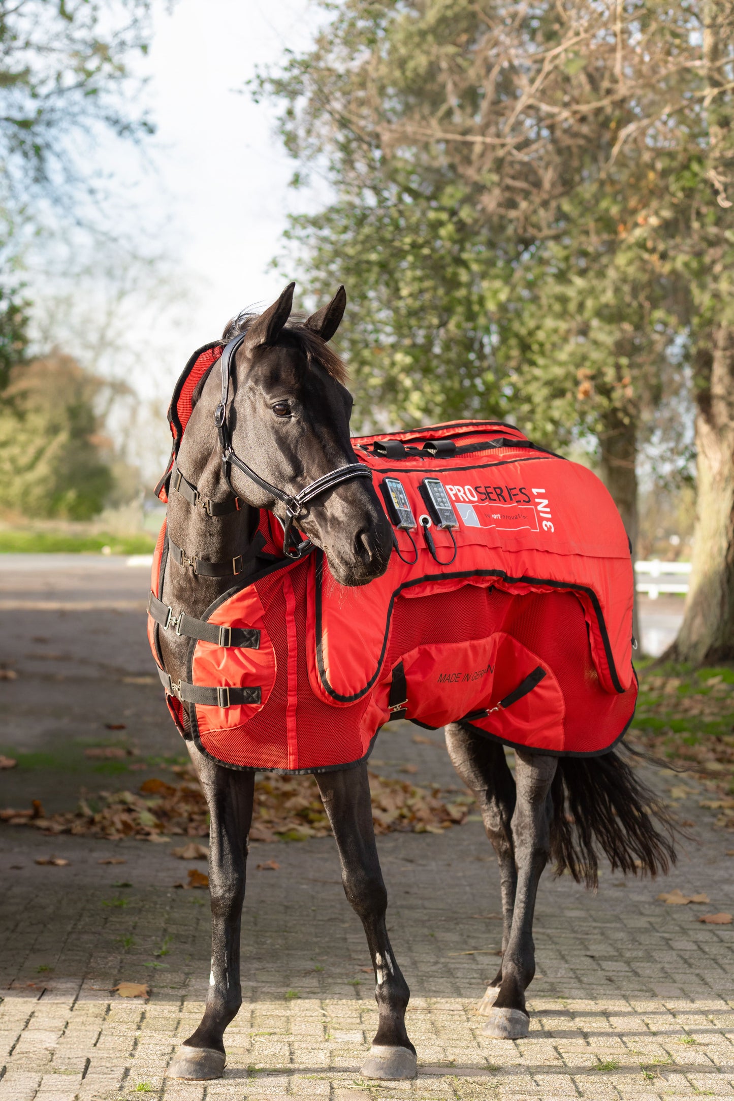 Sportinnovations PEMF & VIBRATION & HEAT 3in1 proserie rug blanked deken neck nek hals magneet circulatie verwarmen paard pony blessure artrose spieren weefsel cellen herstellen dierenarts wellness ontsteking ontstoken doorbloeding beweging soepeler benen pees blessure pezen weefsel gat herstellen help soepel training dressuur springen rood warming up cooling down alles in een 1 knop bediening paneel keuzes massage verwarmen trillen vibratie recuptex bucas foto