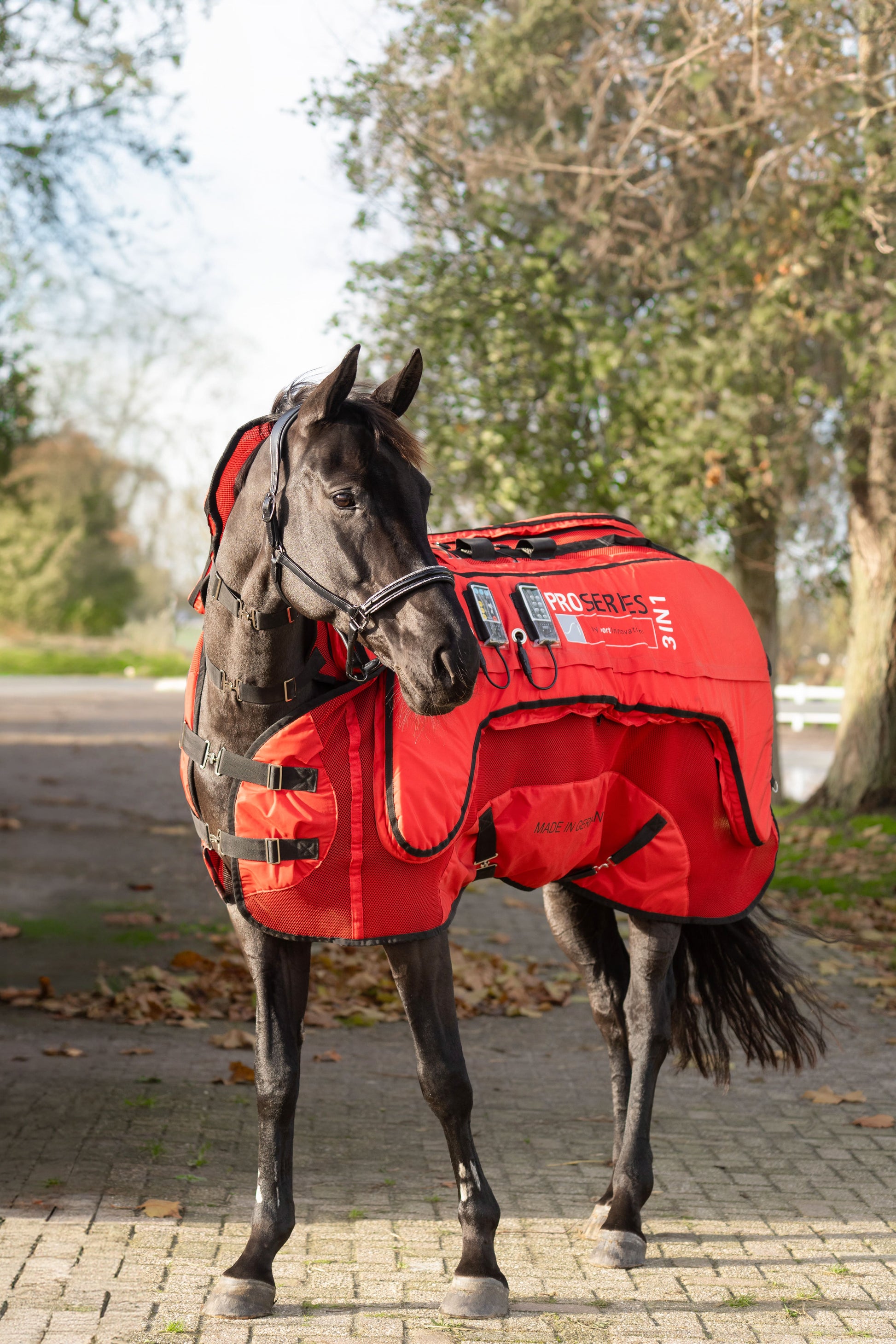 Sportinnovations PEMF & VIBRATION & HEAT 3in1 proserie rug blanked deken neck nek hals magneet circulatie verwarmen paard pony blessure artrose spieren weefsel cellen herstellen dierenarts wellness ontsteking ontstoken doorbloeding beweging soepeler benen pees blessure pezen weefsel gat herstellen help soepel training dressuur springen rood warming up cooling down alles in een 1 knop bediening paneel keuzes massage verwarmen trillen vibratie recuptex bucas foto