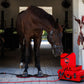 Sportinnovations PEMF pro focus Hoof Boots & Plates hoeven schoenen hoef magneet circulatie verwarmen paard pony blessure artrose spieren weefsel cellen herstellen dierenarts wellness ontsteking ontstoken doorbloeding beweging soepeler benen pees blessure pezen weefsel gat herstellen help hele lichaam sterk beste best wellness luxe paard aan op staan